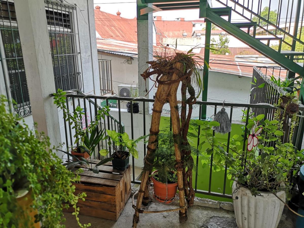 La Terraza Hostel Flores Εξωτερικό φωτογραφία